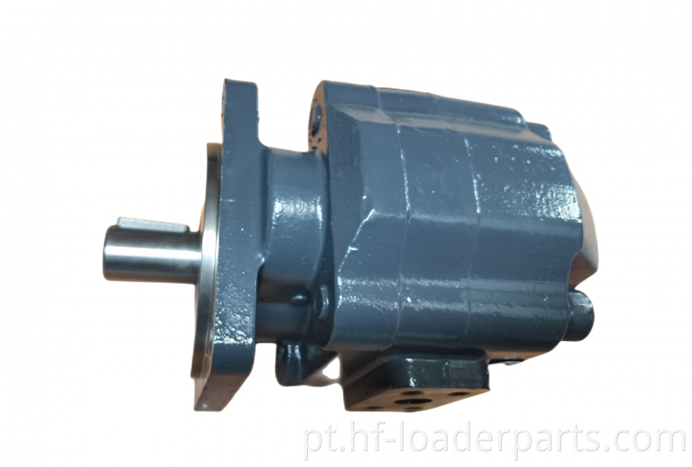 Hydraulic Gear Pump for SEM